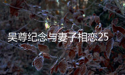 年 图恋2子相5周照人青吴尊与妻纪念晒两涩旧